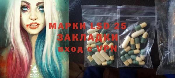 шишки Белокуриха