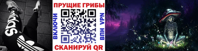 закладка  Ярославль  Галлюциногенные грибы GOLDEN TEACHER 