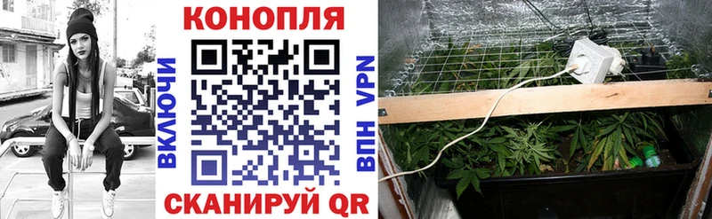 закладки  Ярославль  KRAKEN как войти  Бошки Шишки семена 